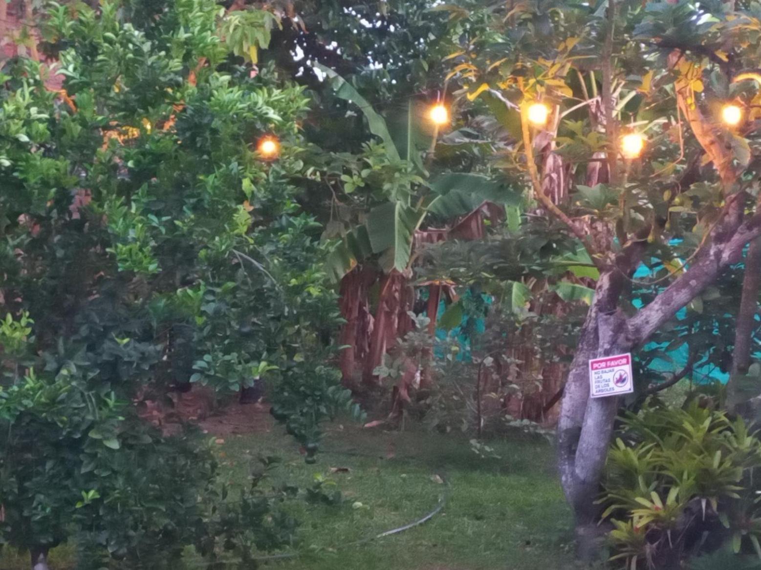 Las Orquideas Rozo Eksteriør bilde
